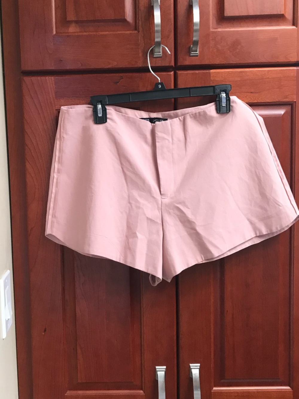 NWT ZARA Pink Shorts
